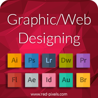 Graphic/Web Design Course in Delhi